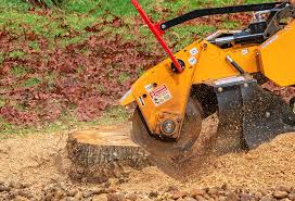 Best Storm Damage Tree Cleanup  in Glen Alpine, NC